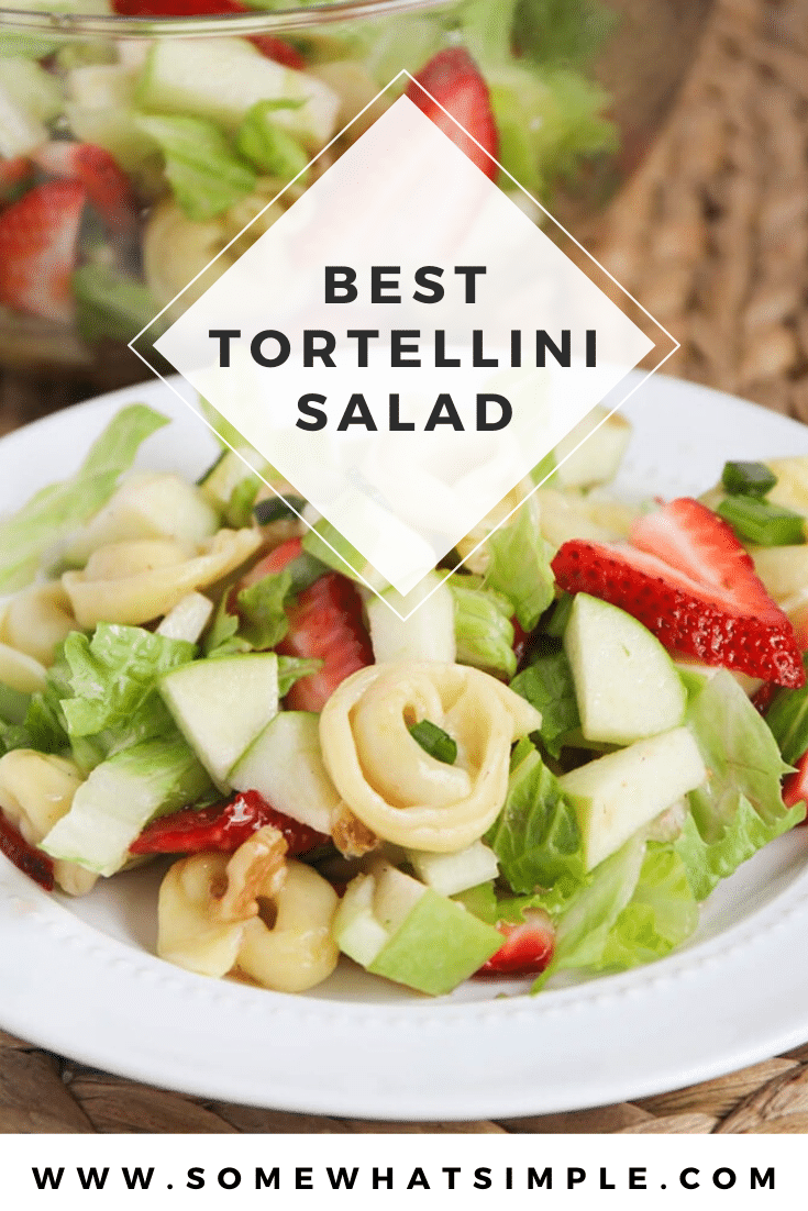 This tortellini apple salad is one of my favorite salads to make during the warm summer months! It is filling and fresh and very delicious! Made with fresh apples and strawberries and topped with a delicious homemade dressing, this salad recipe is amazing! #tortellinisalad #appletortellinisalad #summersaladrecipe #summertortellinisalad #tortellinisaladrecipe via @somewhatsimple