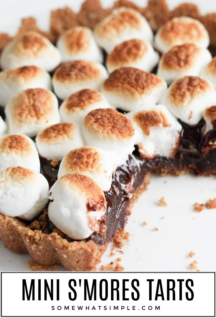 mini smores tarts on a white plate with graham cracker crumbs