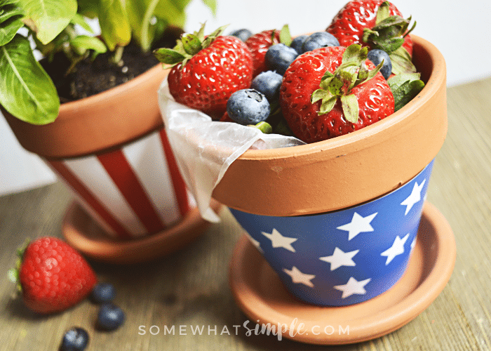 Patriotic Terra Cotta Pot Wrappers berries