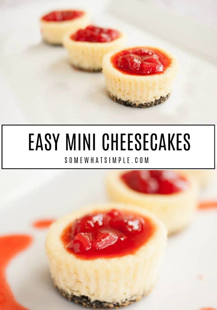 These mini cheesecakes are baked in cupcake pans and couldn't be any easier to make! Made with a delicious Oreo cookie crust, this little cheesecakes are irresistible! #minicheesecakes #minicheesecakeswithoreos #minicheesecakeswithanoreocrust #howtomakeminicheesecakes #easyminicheesecakes via @somewhatsimple