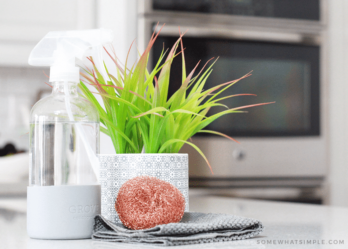 a bottle of cleaner and a steel wool sponge in front of clean oven glass