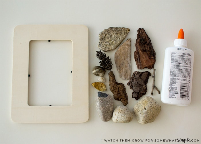 nature-walk-picture-frame1