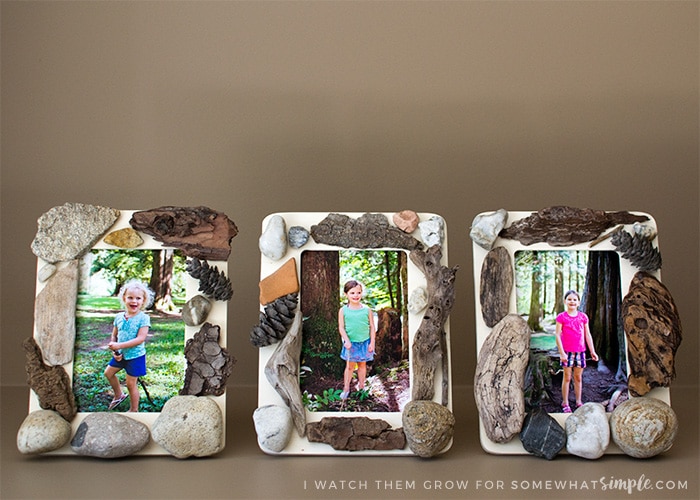 nature-walk-picture-frame6