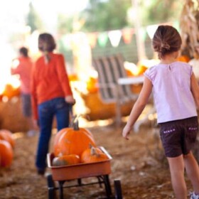 girls in a pumpkin patch