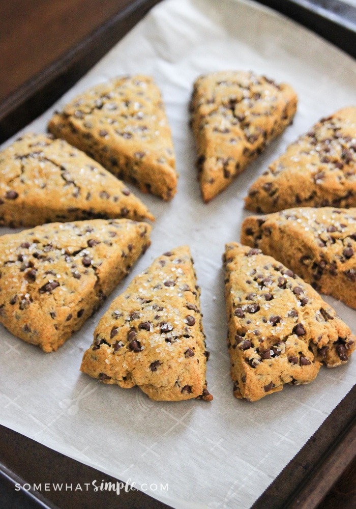 pumpkin-chocolate-chip-scones-9