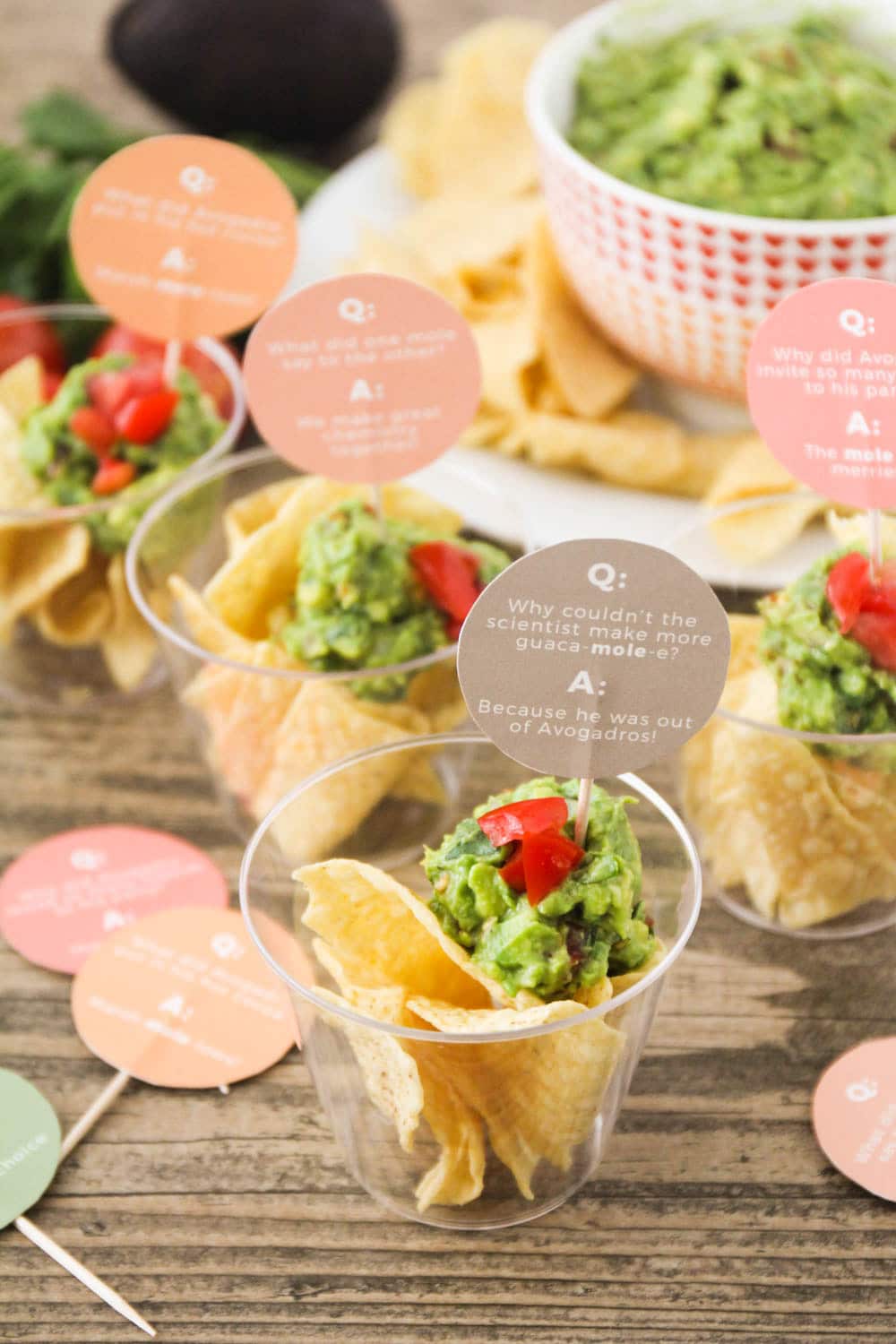 Zesty Guacamole Recipe and Fun Mole Day Ideas Somewhat Simple