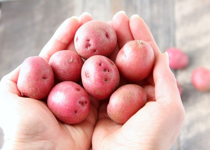 a handful of small baby red potoates