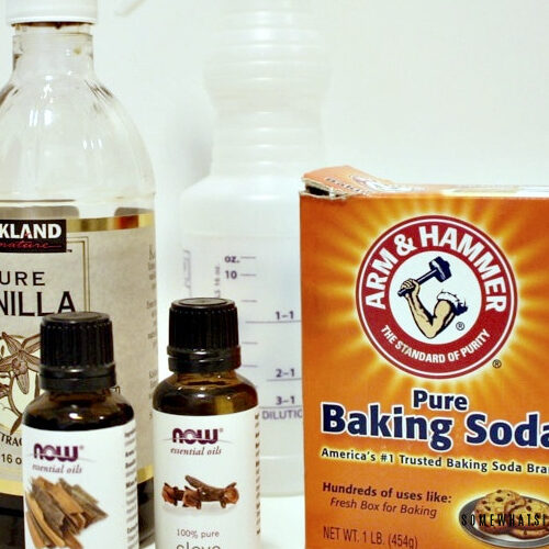 DIY Baking Soda Air Freshener (All Natural) Somewhat Simple
