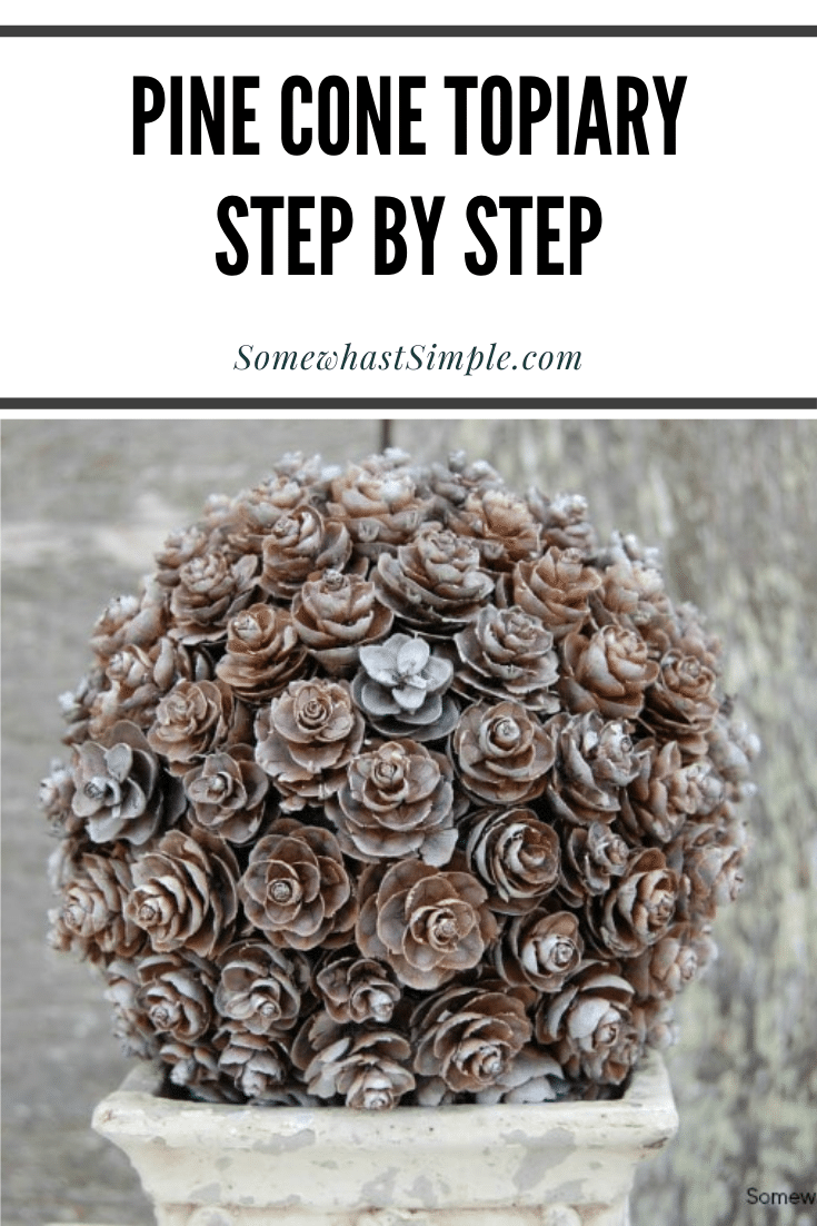 A pinecone topiary is a beautiful, simple craft that requires little artistic talent or expensive supplies. Learn how to make your own pinecone topiary here. via @somewhatsimple