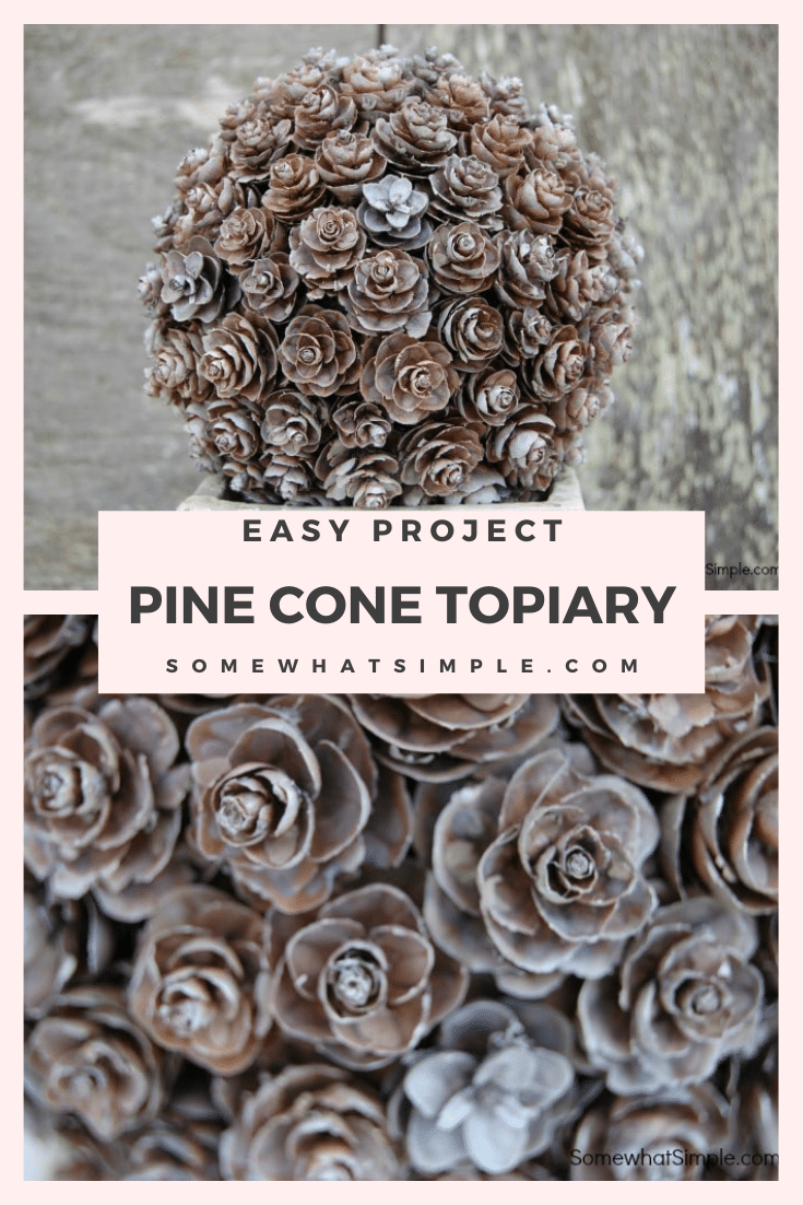 A pinecone topiary is a beautiful, simple craft that requires little artistic talent or expensive supplies. Learn how to make your own pinecone topiary here. via @somewhatsimple