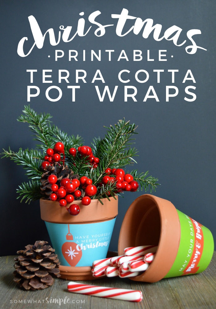 Hold on to your hats! Today we're sharing these darling Christmas Terra Cotta Pot Wrappers!  via @somewhatsimple