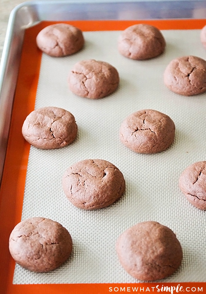 chocolate sugar cookies on a baking sheet fresh from the oven.