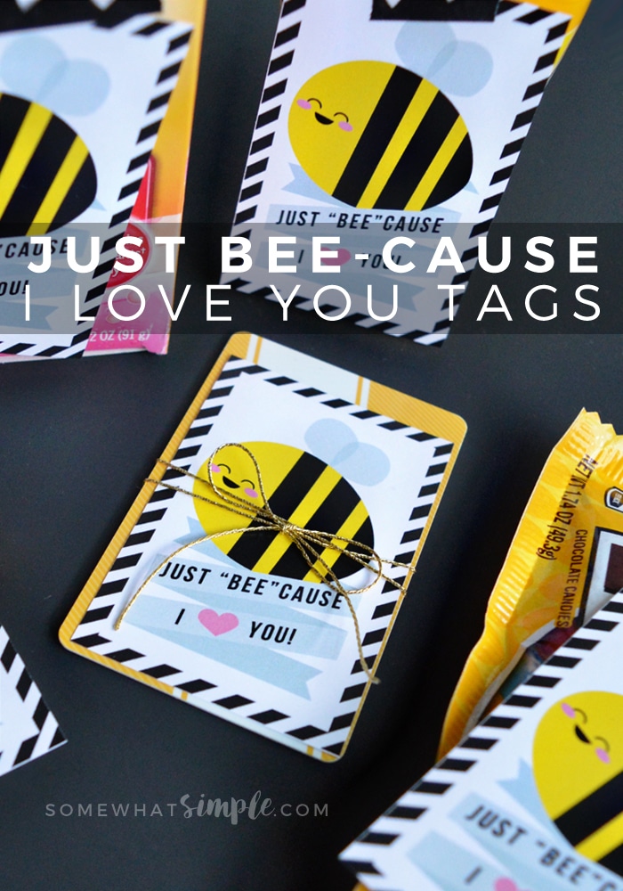 We love how simple + adorable these Just BEE-cause I Love You tags are! Not only are they great for Valentine's Day, but they are perfect for any time of the year! #valentines #iloveyou #card #printable #thoughtful #gift #thinkingofyou via @somewhatsimple