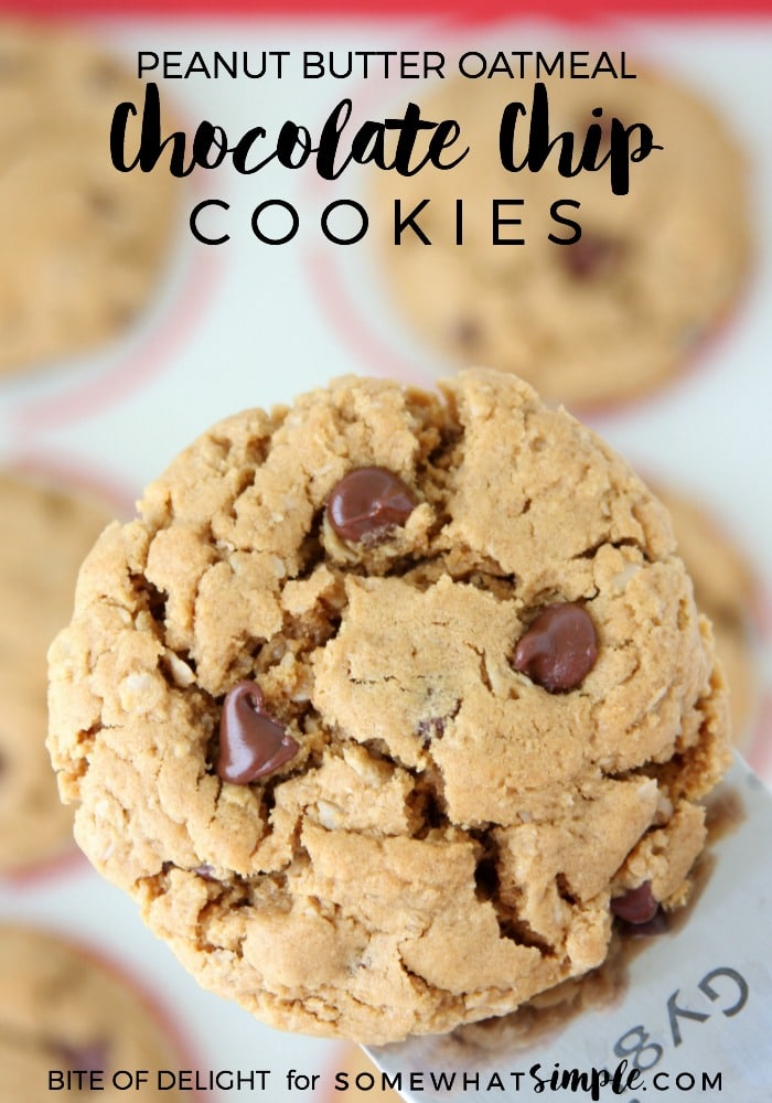 These oatmeal peanut butter cookies are loaded with chocolate chips and need only 7 ingredients. Plus, they're gluten free so everyone can enjoy them! Now pass the milk and let's start baking! via @somewhatsimple