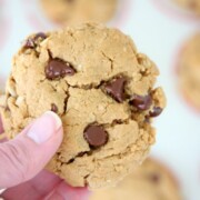Peanut Butter Oatmeal Chocolate Chip Cookies | Easy Recipe | Gluten Free | Flourless | Dairy Free | Treat