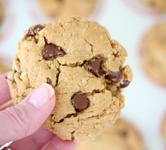 Peanut Butter Oatmeal Chocolate Chip Cookies | Easy Recipe | Gluten Free | Flourless | Dairy Free | Treat