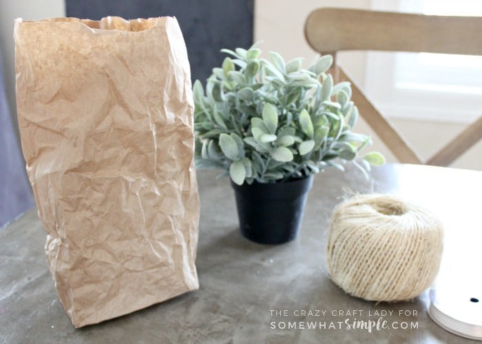 Follow this tutorial to learn how to make super simple spring paper bag planters. This tutorial is perfect for spring flowers, bulbs and plants!