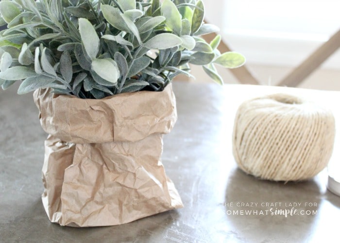 Follow this tutorial to learn how to make super simple spring paper bag planters. This tutorial is perfect for spring flowers, bulbs and plants!