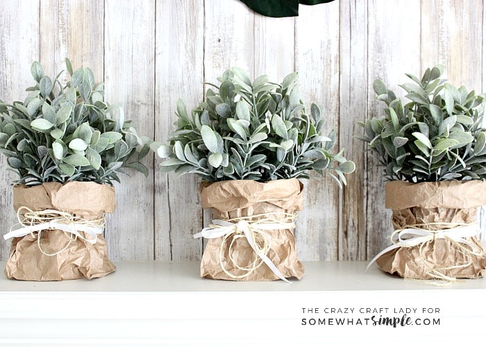 Follow this tutorial to learn how to make super simple spring paper bag planters. This tutorial is perfect for spring flowers, bulbs and plants!