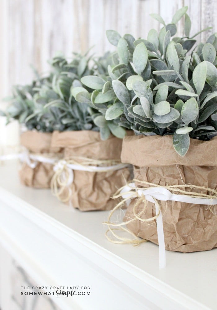 Follow this tutorial to learn how to make super simple spring paper bag planters. This tutorial is perfect for spring flowers, bulbs and plants!