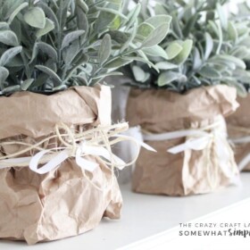 Follow this tutorial to learn how to make super simple spring paper bag planters. This tutorial is perfect for spring flowers, bulbs and plants!