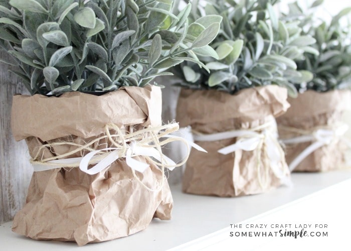 Follow this tutorial to learn how to make super simple spring paper bag planters. This tutorial is perfect for spring flowers, bulbs and plants!