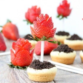 Sugar Cookie Flower Pots with Strawberry Roses | Easy Treat Recipe