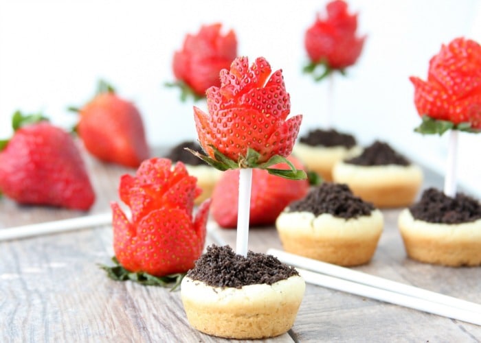 Sugar Cookie Flower Pots with Strawberry Roses | Easy Treat Recipe 