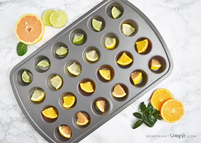 https://www.somewhatsimple.com/wp-content/uploads/2017/03/fruit-ice-cubes-in-muffin-tin.jpg