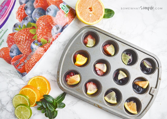 DIY Fruit Ice Cubes - Celiac Mama