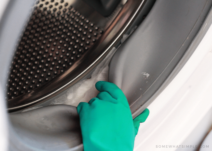 a hand in a green rubber glove pull back the rubber seal of a front loader that shows paper towels that have been soaked with bleach inside the rubber seal 