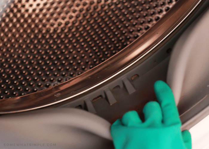 a hand with a rubber glove pulling back the rubber seal in a front load washing machine that is clean inside the seal