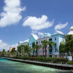 light pink, blue and green houses with a row of palm trees that line the coast in Freeport Bahamas