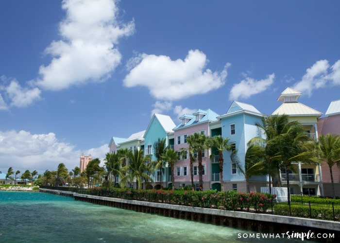 light pink, blue and green houses with a row of palm trees that line the coast in Freeport Bahamas