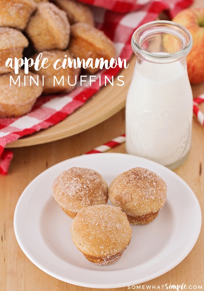 These apple cinnamon muffins are so soft, sweet and have the perfect apple flavor. These muffins are baked to perfection and are covered with an amazing cinnamon sugar topping. I promise, you won't taste anything better! This really is the best cinnamon apple muffin recipe you'll ever try! via @somewhatsimple