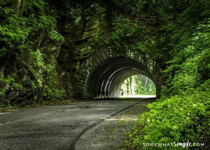 smoky mountains