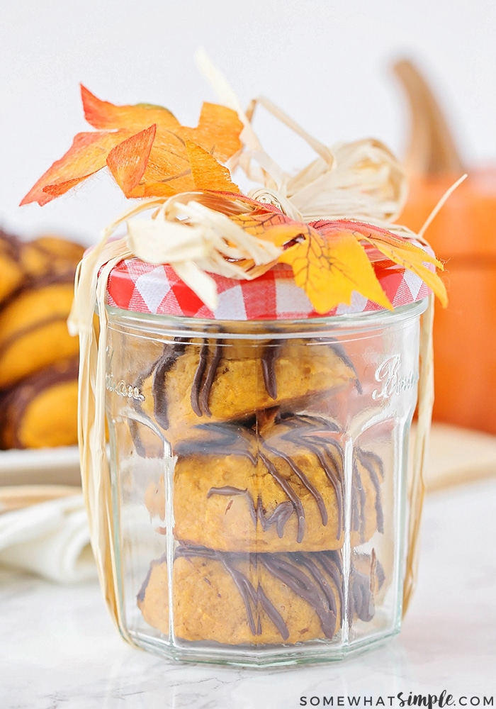 chocolate pumpkin cookies in a jar that has been gift wrapped
