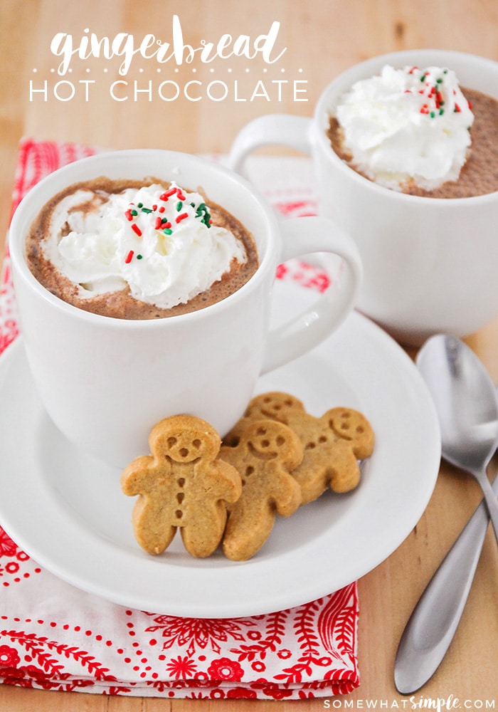 This delicious gingerbread hot chocolate is the perfect warm drink to celebrate the holiday season! So creamy and smooth, with a sweet gingerbread flavor! #gingerbreadhotchocolate #gingerbreadhotchocolaterecipe #howtomakegingerbreadhotchocolate #easygingerbreadhotchocolate #winterdrinkrecipe via @somewhatsimple