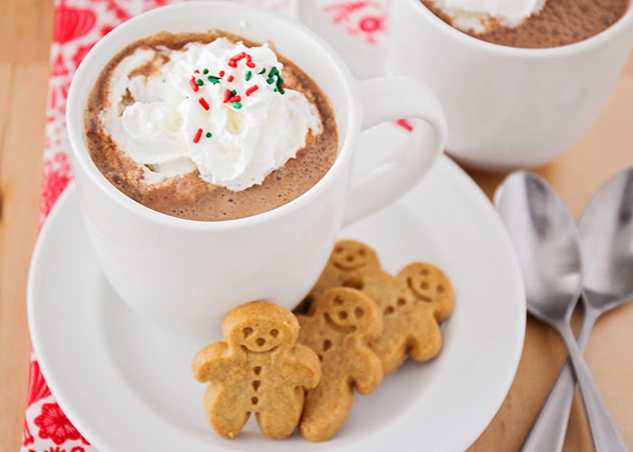 a glass mug filled with gingerbread hot chocolate topped with whipped cream
