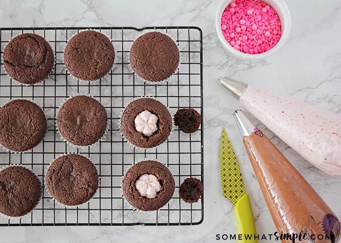 Chocolate Fudge Cupcakes