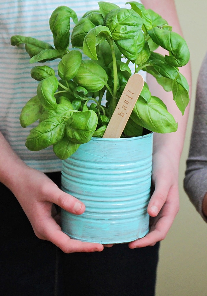 This easy to make indoor herb garden is the perfect project to do with the kids. Add a touch of green to your kitchen and enjoy fresh herbs year round!