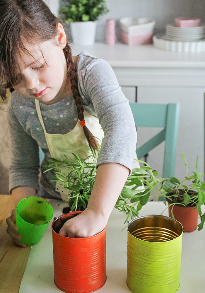 This easy to make indoor herb garden is the perfect project to do with the kids. Add a touch of green to your kitchen and enjoy fresh herbs year round!