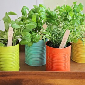 Indoor Herb Garden made from painted cans