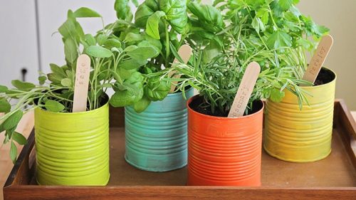Indoor Herb Garden made from painted cans