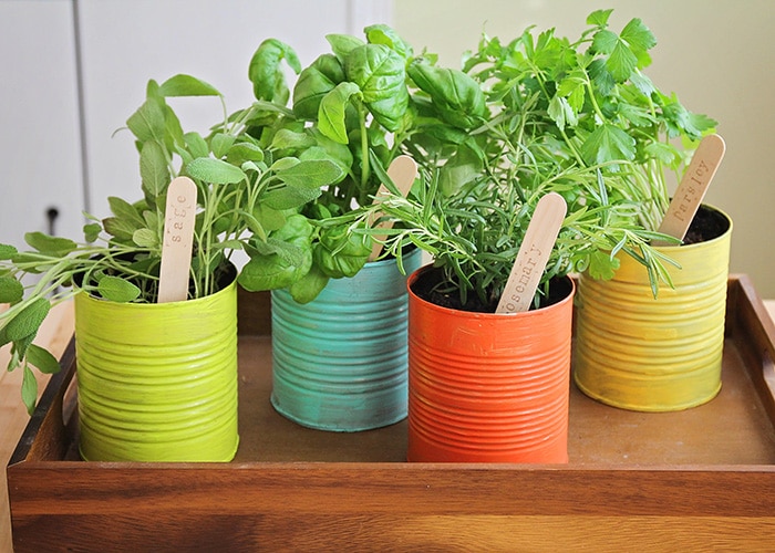 This easy to make indoor herb garden is the perfect project to do with the kids. Add a touch of green to your kitchen and enjoy fresh herbs year round!