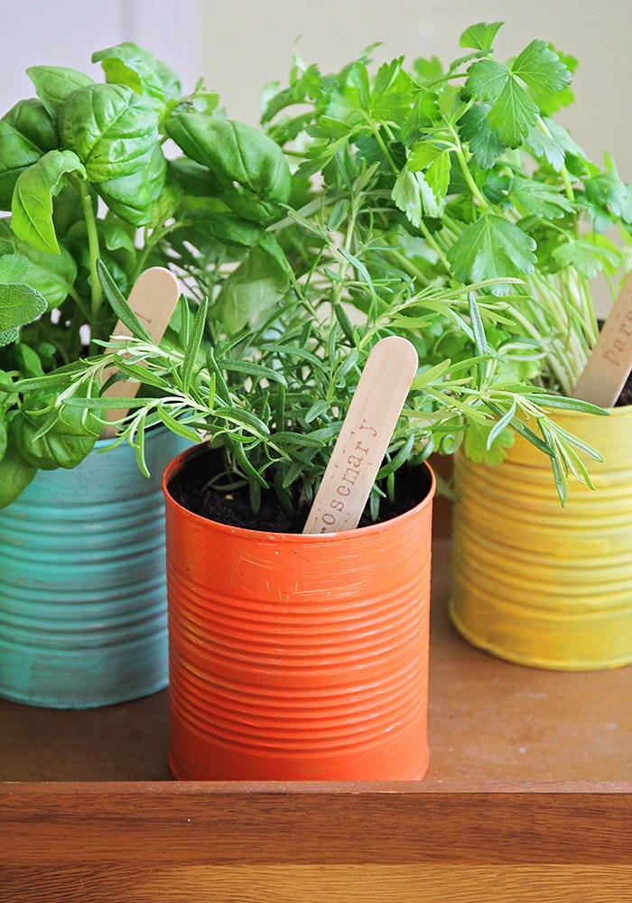This easy to make indoor herb garden is the perfect project to do with the kids. Add a touch of green to your kitchen and enjoy fresh herbs year round!