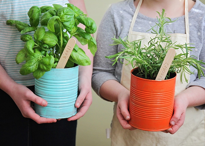 This easy to make indoor herb garden is the perfect project to do with the kids. Add a touch of green to your kitchen and enjoy fresh herbs year round!