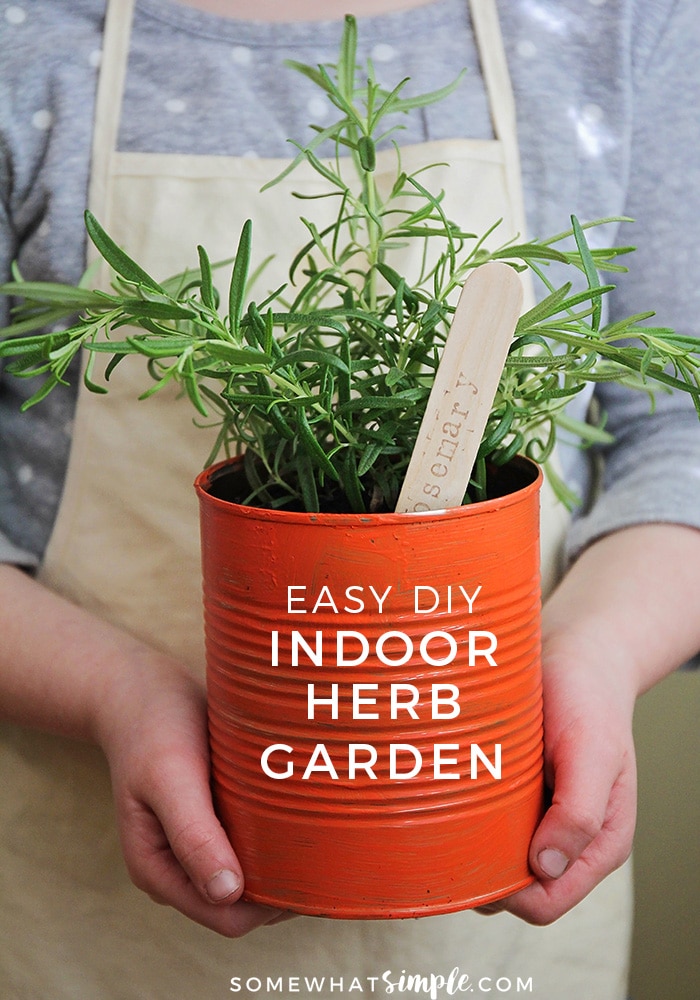 This easy to make indoor herb garden is the perfect project to do with the kids. Add a touch of green to your kitchen and enjoy fresh herbs year round!