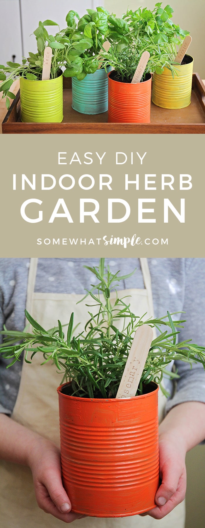 This easy to make indoor herb garden is the perfect project to do with the kids. Add a touch of green to your kitchen and enjoy fresh herbs year round! #gardening #gardenideas #gardeningtips #herb #easydiy #summertime  via @somewhatsimple