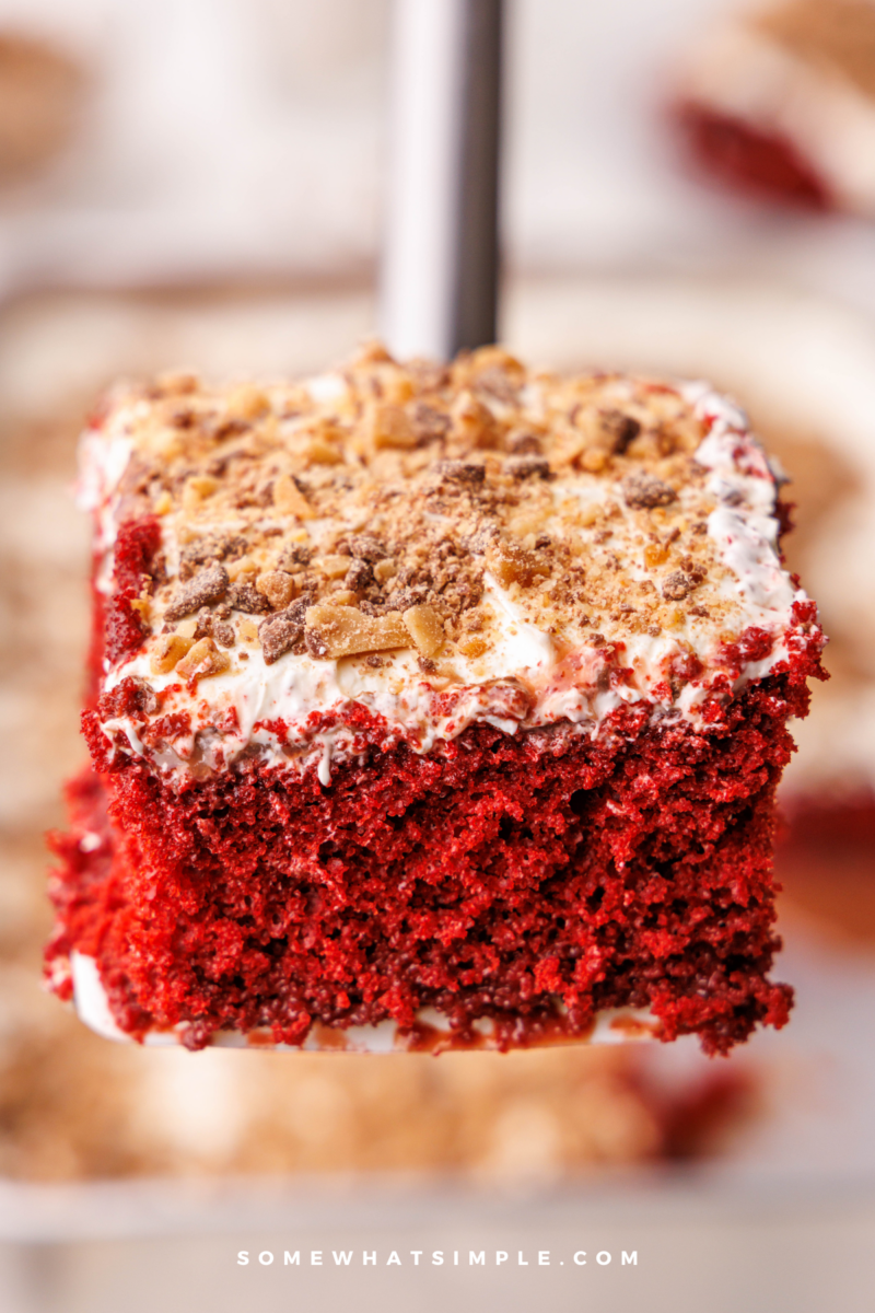 close up of a slice of Better than Anything Cake